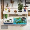 Turtle Tank PET Material, DryWet Separation, Desktop Aquarium with Basking Platform White Upgrade