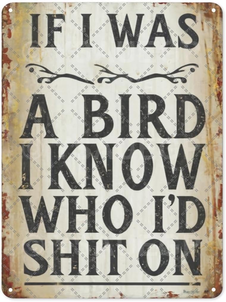 Classic Retro If I Was a Bird I Know Who Id Shit On Tin Sign Funny Quotes Vintage Style Decorative Metal Wall Art for Home 20x30cm(7.8x11.8inch)