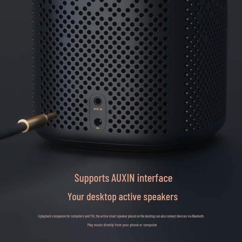 Xiaomi AI Speaker Pro
