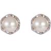 Pearl Stud Earrings Women's Elegance Temperament Versatile Earrings New Earrings Gift