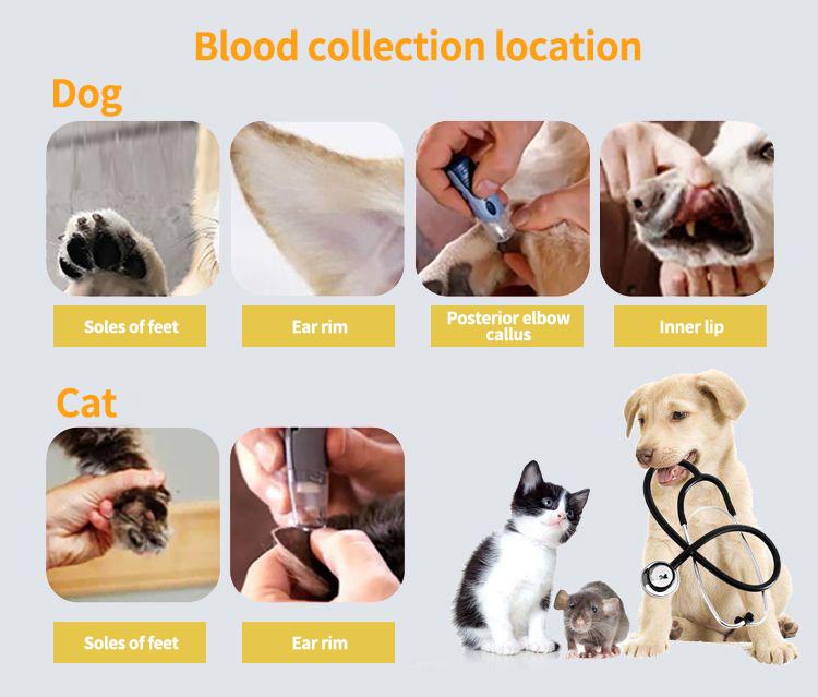 Precise Protection, Worry-free Pet Care - Pet Blood Glucose Meter with 50 Test Strips