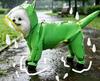 Haustierkleidung Hund Sommer-Regenmantel für Teddy Bichon Frise Schnauzer Kleine mittelgroße Hunde Vollständig abdeckend Wasserdicht Handwäsche Gefertigt