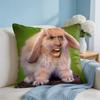 Nordic Style Nicolas Cage Rabbit Cushion Cover Square Pillow Bedroom Sofa Leisure Comfort Living Room Home Decoration X