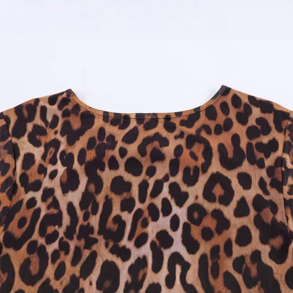 Spring and summer new fashion temperament classic leopard print round neck long sleeve mesh slim long dress