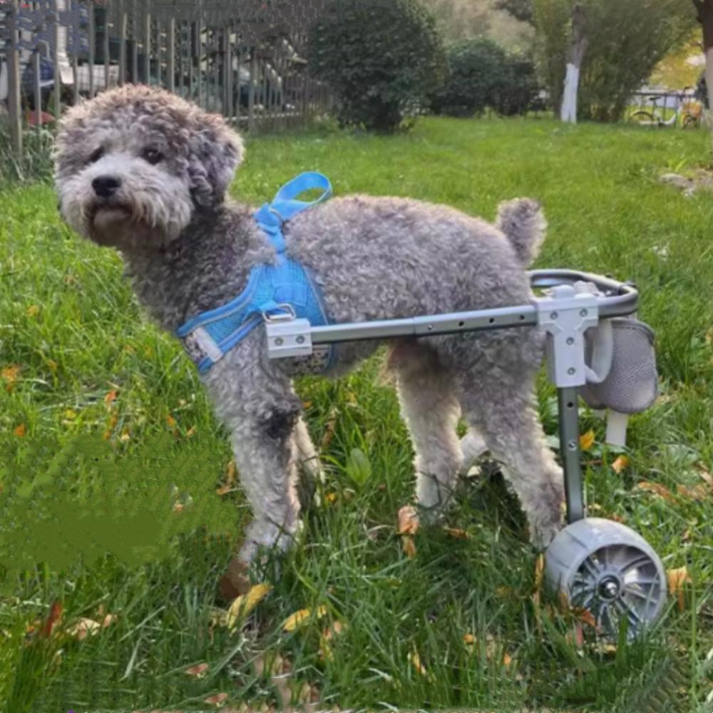 Pet Dog Wheelchair, Small Dog Walking Assisted Wheelchair Car