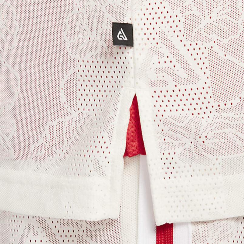 Nike Giannis Dri-FIT DNA Floral Pattern Breathable Quick-Dry Logo Pullover Basketball Jersey Men Jersey Sail-White FZ0925133