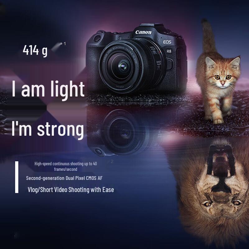 Canon EOS R8 Full-Frame Mirrorless Camera (CN Version)