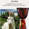Djembe Ethnic Musical Instrument Toy Home Drum Percussion Sheepskin Durable Hand-Painted Pattern Bright Tone Suitable for Adults and Beginners Large