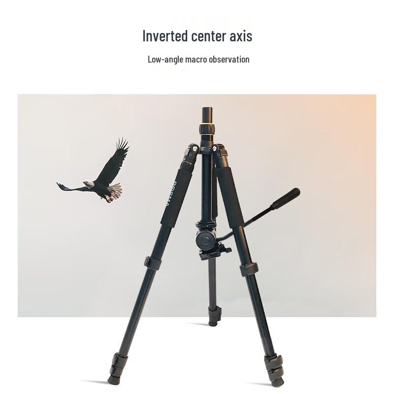 BOSMA TP36-1 Binocular and Photography Tripod