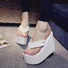 Women's Summer Thick-Soled Wedge Flip-Flops: Comfortable High-Heel Beach Slippers