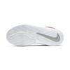 Nike Team Hustle D9 Metallic Silver Sneakers CQ4278-001