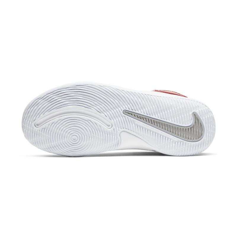 Nike Team Hustle D9 Metallic Silver Sneakers CQ4278-001