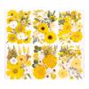Pack Of 1 Handmade Dried Pressed Flower Set Natural Homes Decors For DIY Crafts And Festival Arrangements P9YB