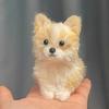 Uroczy Modny Twist Stick Piesek DIY Torba z Materiałami Ręcznie Robiona Pluszowa Lalka Dziewczynka Mały Prezent Shiba Inu Husky Ręcznie Robiona Torba z Materiałami