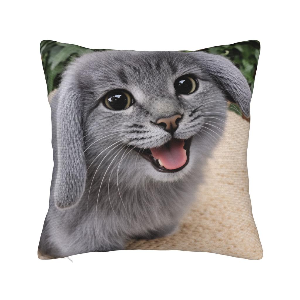 Katzen-Memes Lustiger Meme-Druck Kissenbezug Weicher Kissenbezug für Sofa Auto Heimdekoration Modischer Kissenbezug