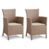 Allibert Chaises à dîner de jardin 2 pcs Iowa Cappuccino