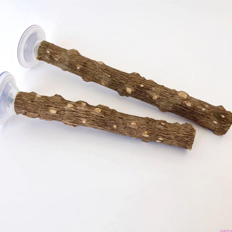 2PCS Bird Perch Stand With Strong Suction Cup For Parrots And Small Bird Indoor Training Exercise Enrichment Accessory