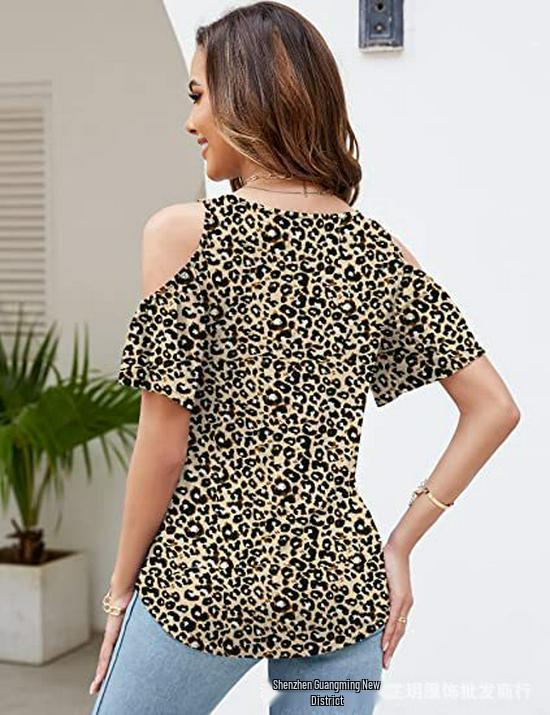 2025 Summer Off-the-Shoulder V-Neck Print Top for Women
