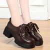 Dikke zolen loafers voor dames in lente en herfst Nieuwe vetersluiting Dikke hak Diepe mond Dames Enkelen College stijl Leren schoenen