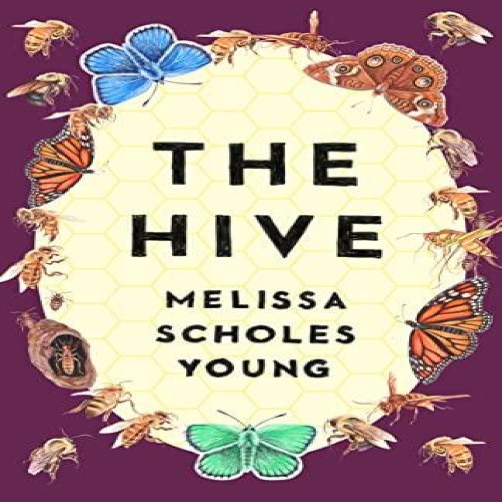 The Hive by Melissa Scholes Young Paperback Book 9781684426447
