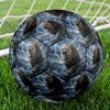 1pc Lion Storm Theme Soccer Ball Football, Size 5, Lightweight PVC, Durable Outdoor Training Soccer Ball, Gift M6143