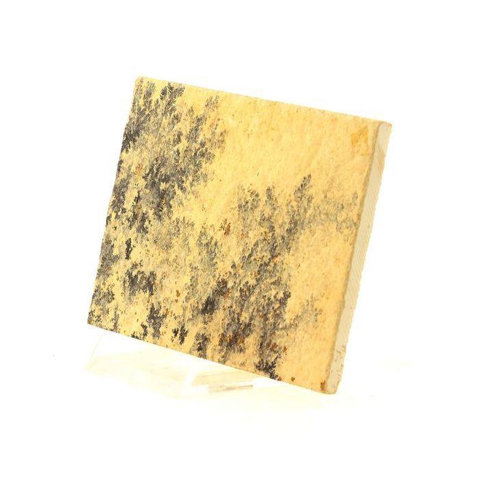 Pierres et Minéraux. Manganese Dendrites. 377.40 ct. Solnhofen, Middle Franconia, Allemagne.