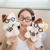 15/20cm Pudding Three Flower Cat Camera Plush Doll New Cat Wearing Glasses And Headphones, Girl Emotion Companion Doll Gift