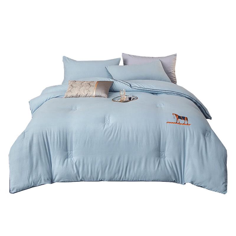 Yiyiai Single-Hole Polyester Fiber Winter Duvet Insert