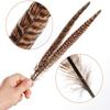 10Pcs Pheasant Tail Feathers Table Decoration Crafts Supplies Plumas DIY Dream Catcher for Wedding Carnival Accessories Material