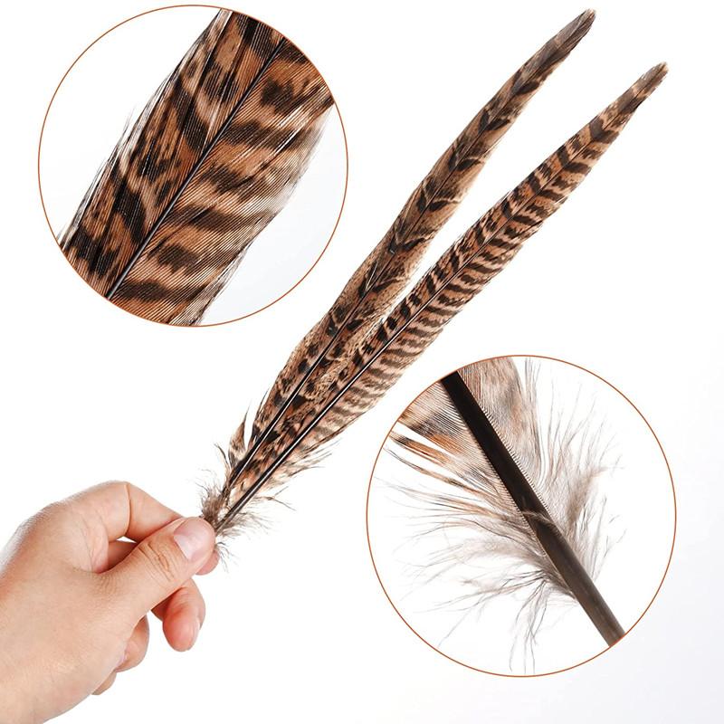 10Pcs Pheasant Tail Feathers Table Decoration Crafts Supplies Plumas DIY Dream Catcher for Wedding Carnival Accessories Material