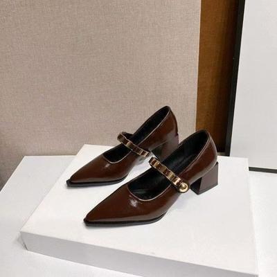 Fashion French Pointed Toe Mary Jane Single Shoes Women's 2025 Fall New Shallow Mouth Block Heel Pump Shoes