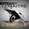Camille by Pierre Lemaitre Paperback Book 9780857056283