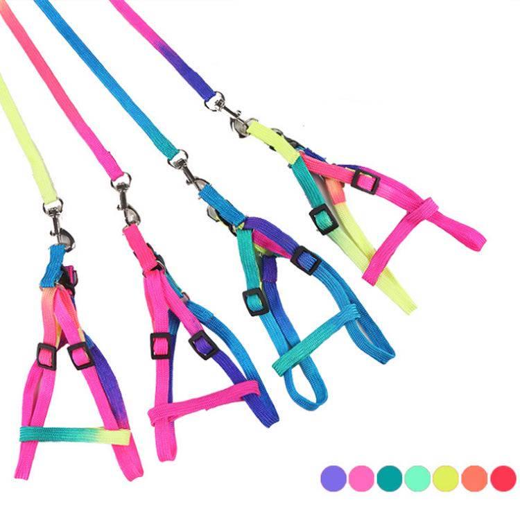 rainbow cat harness