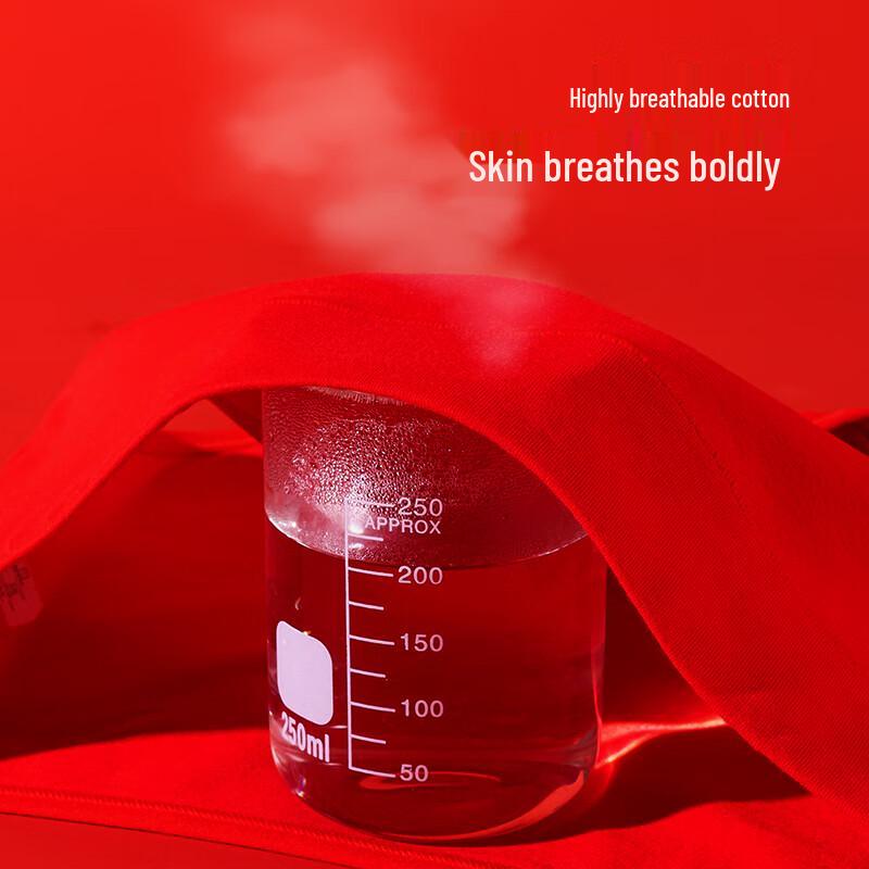 Dushi Liren Women's Lucky Red Antibacterial Mid-High Waist Cotton Briefs