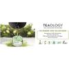 Baume à lèvres Teaology Thé Matcha Rouge à lèvres Thé (4g)
