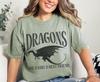 Dragons Are a Girl's Best Friend Tee, Flying Dragon T-shirt, Fantasy Reader Gift, Comfort Colors Distressed Graphic, Dragon Aesthetic Shirt