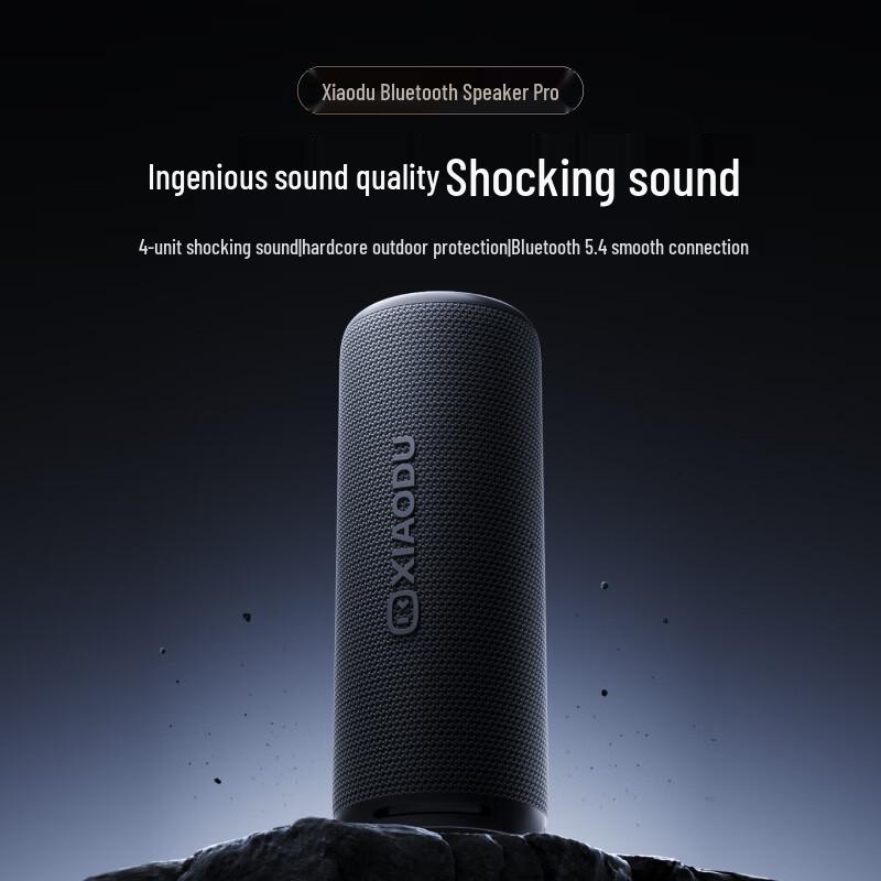 Xiaodu Portable Bluetooth Speaker CN Plug (adapter Included)