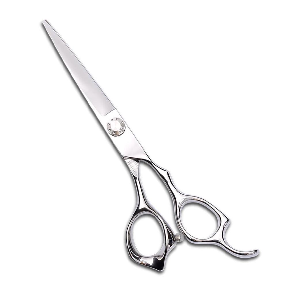 6-Inch Professional Hairdressing Scissors & Thinning Shears Set
