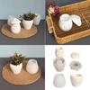 Premium Silicone Craft Mold with Intricate Mushroom Pattern For Handmade Enthusiasts Flower Pot Mould