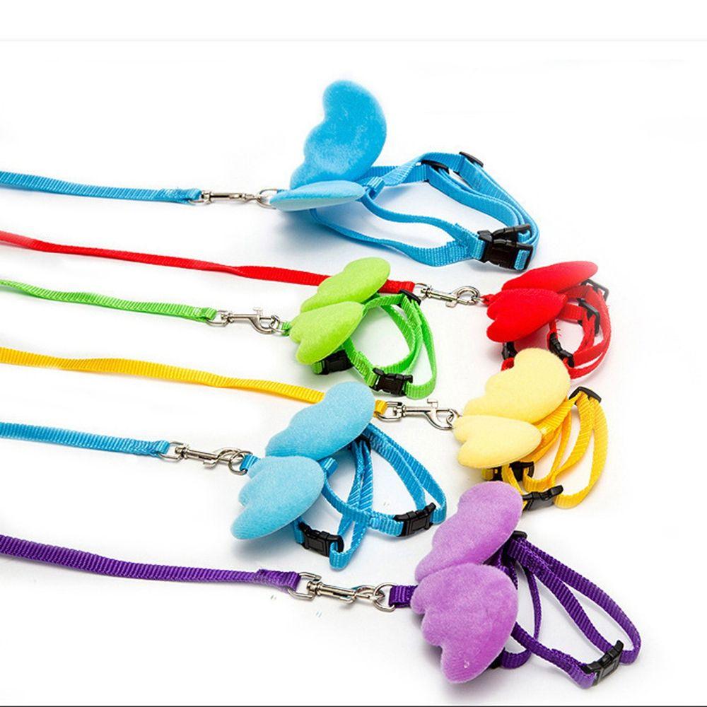 Walking Pet Supplies Angel Wing Puppy Collars Pet Harness Cat Puppy Leash Set Dogs Leads Rope