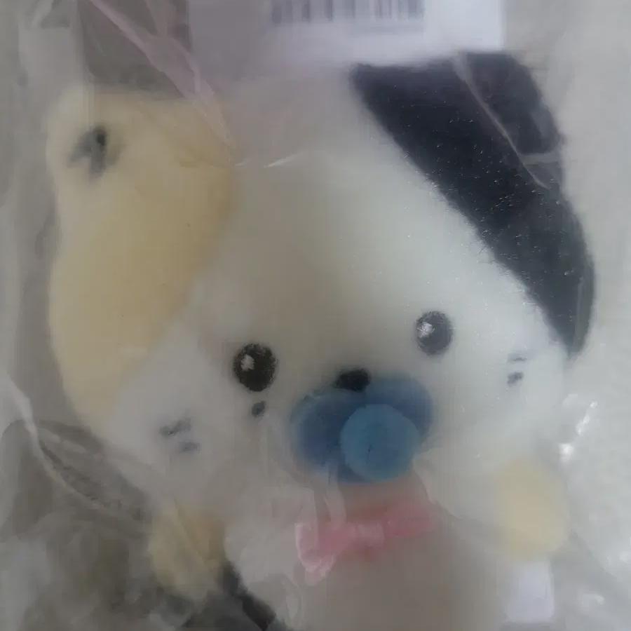 

Zerobaseone Линини Зерони