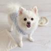 Floral Printed Puppy Princess Skirt XS-2XL Pet Skirt Breathable Cat Dog Flower Dress  Spring Summer