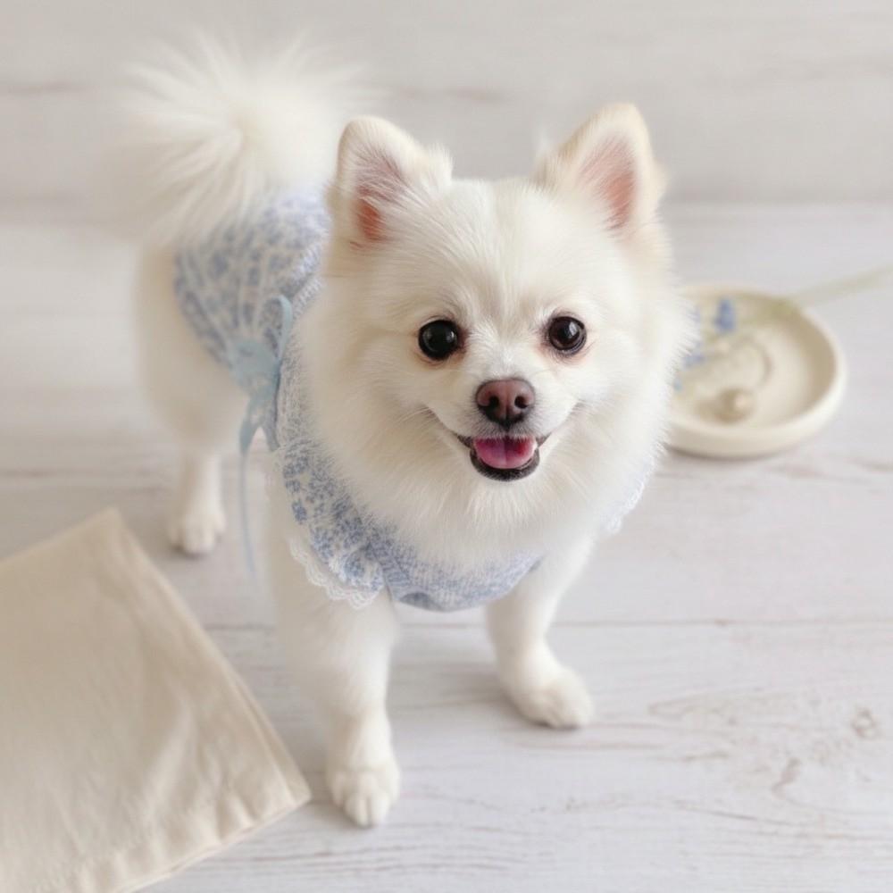 Floral Printed Puppy Princess Skirt XS-2XL Pet Skirt Breathable Cat Dog Flower Dress Spring Summer