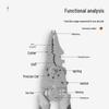 Multifunctional Electrician Pliers: Wire Stripper, Separator, Crimper, Skinner, Wrapper, Cutter