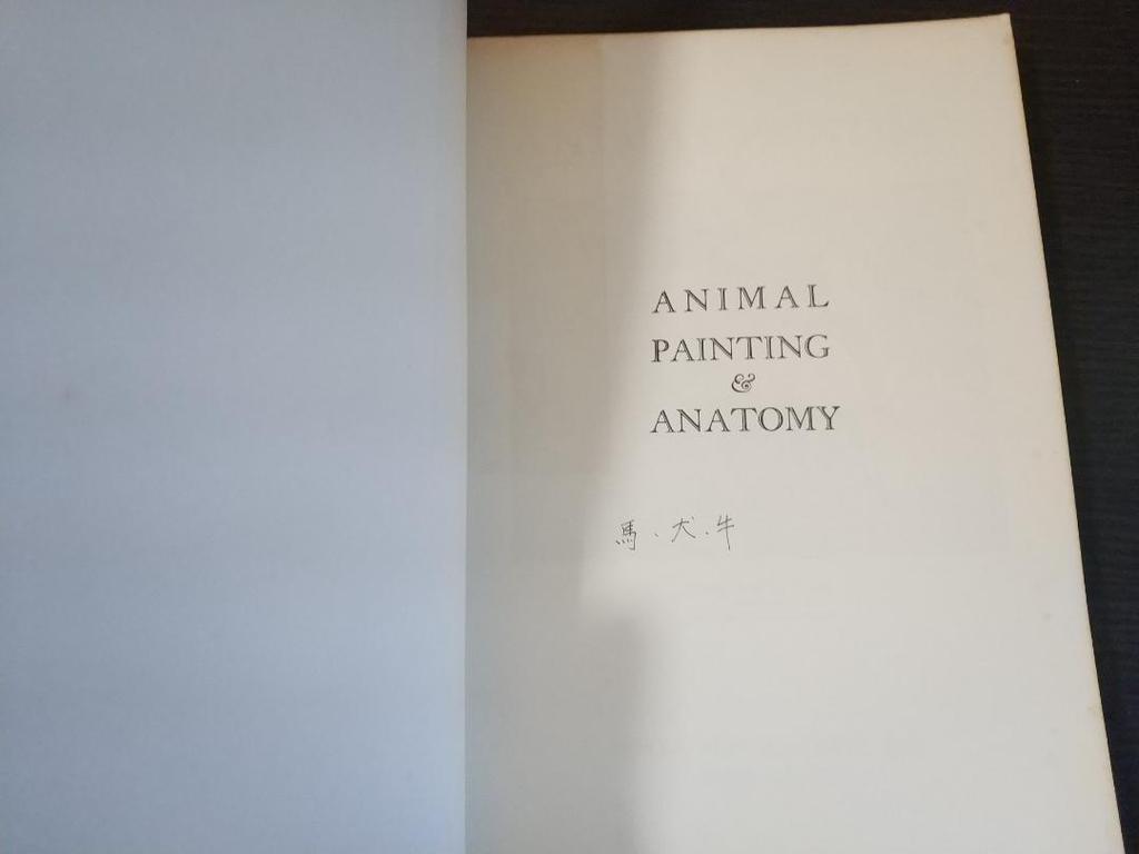 [USED] Anomal Painting and Anatomy Dover