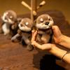 Cute Design Otter Backpack Pendant Soft Material Otter Plush Toy  Kid Birthday Gift