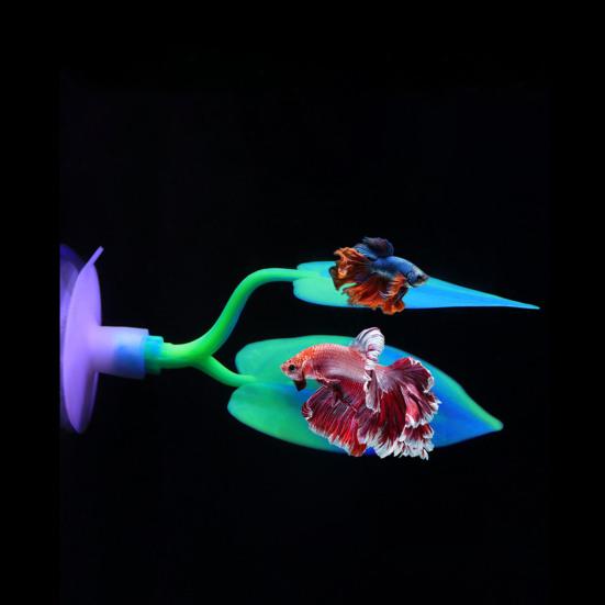 Fish Tank Leaf with Suction Cup Eco-friendly Vibrant Color Simple Installation Small Fish