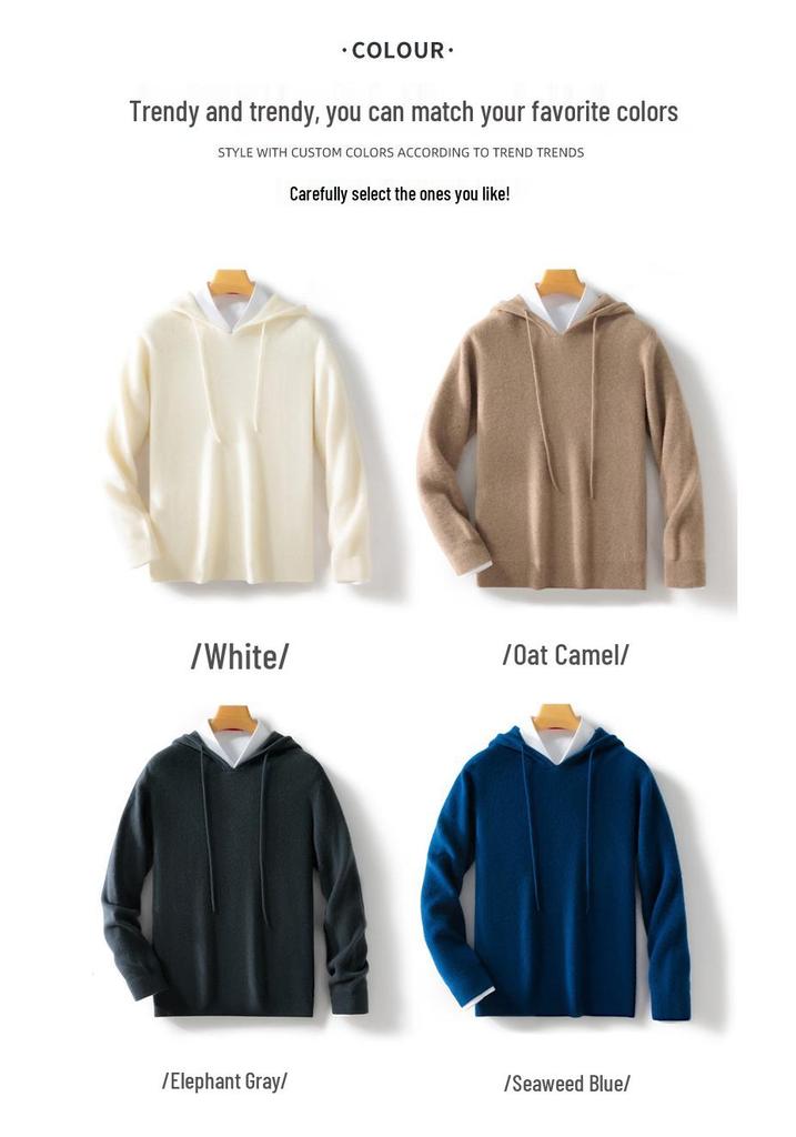 Men's Pure Wool Hoodie: 2024 Autumn/Winter Casual Knitwear Sweater with Hood