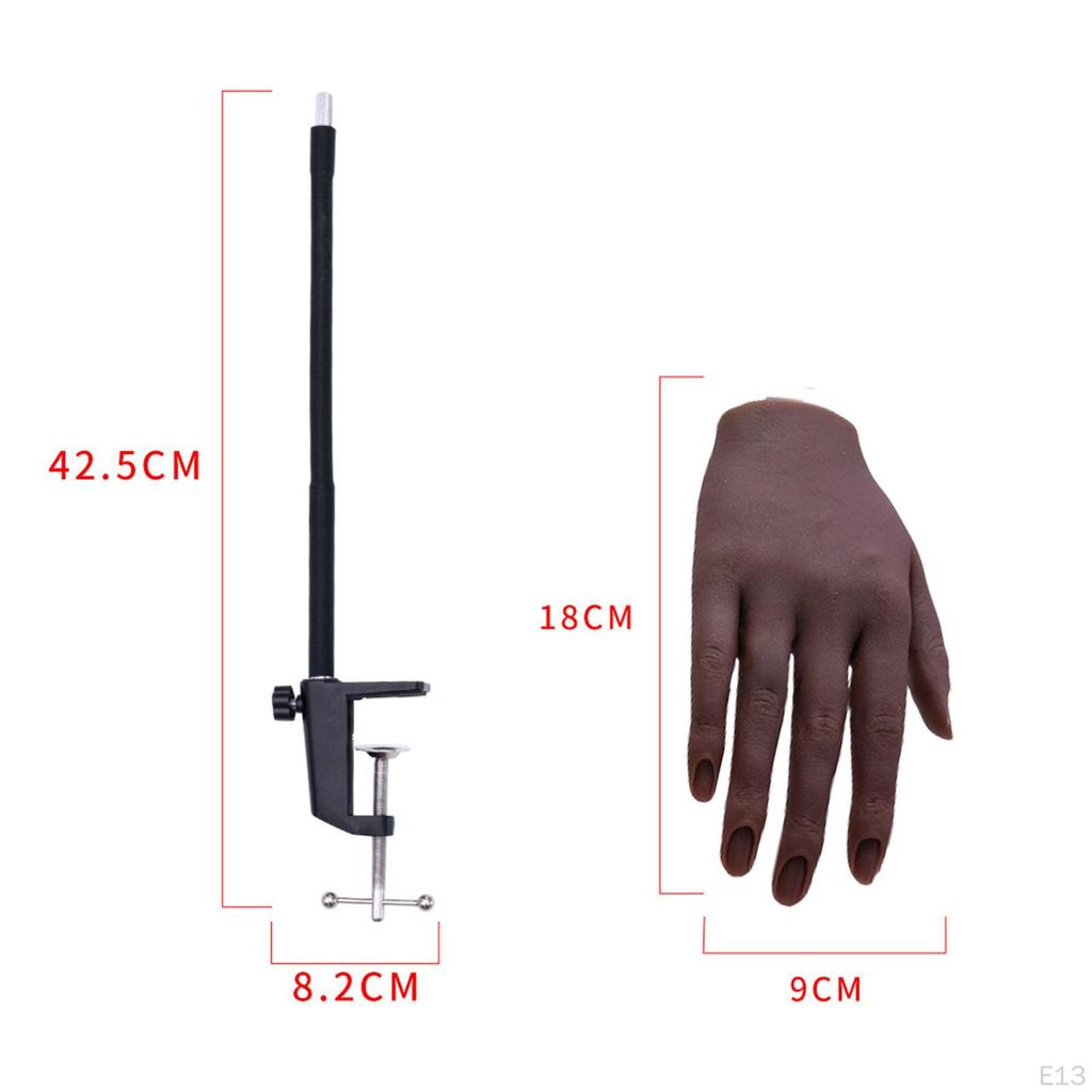 Nail Training Right Hand with Bracket Soft Fake Supply DIY Display