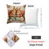 cm Cute Cat RabbitsThrow Pillow Cover A Cat and Rabbit Reading Storybooks on The Sofa Design for Home Sofa Pillowcase Decor